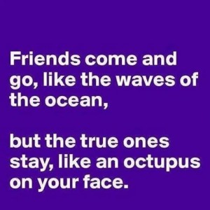 Best-Friendship-Quotes-funniest-quotations