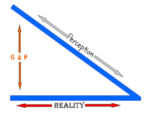 RealityPerceptionGap