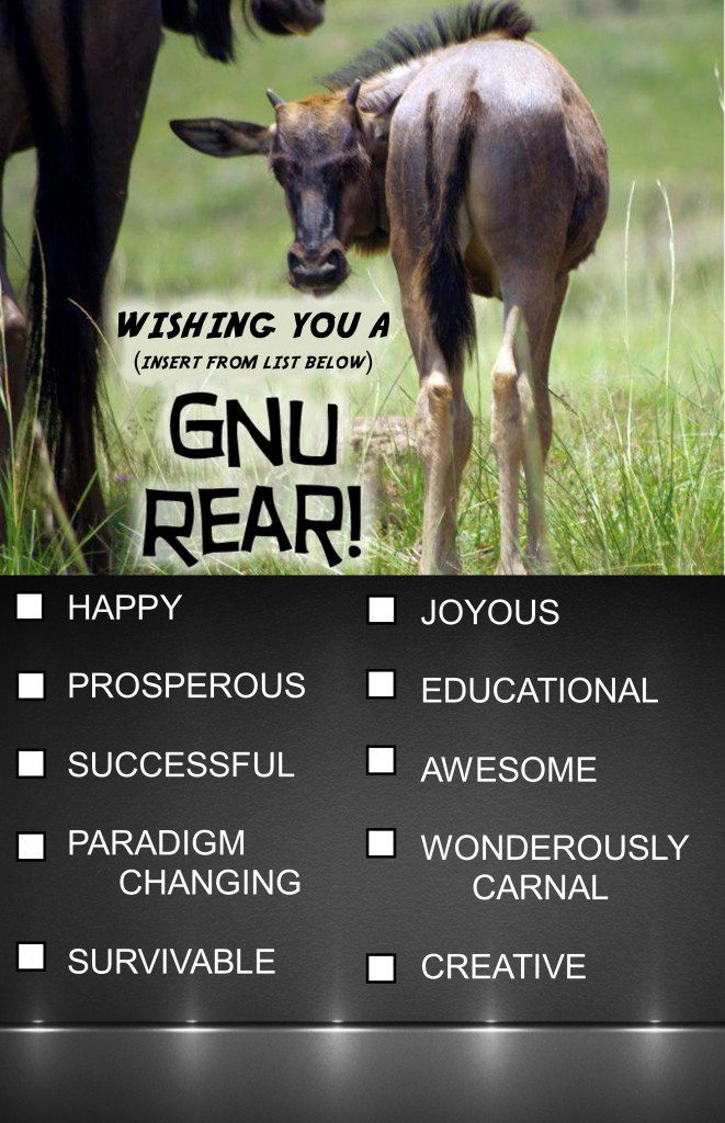 NewYearGreeting2015_J